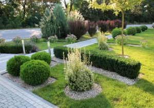 landscaping services